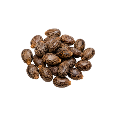 Ricinus Communis